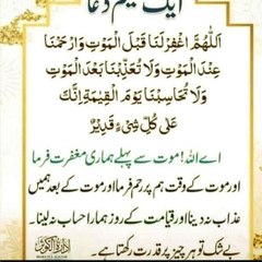 quran Urdu Hindi translation