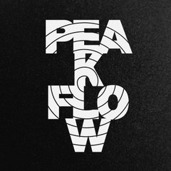 Peak Flow Motivation