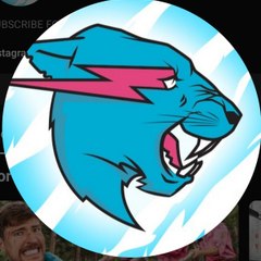 Mr BEAST Fans