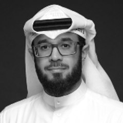 محمد المنيس