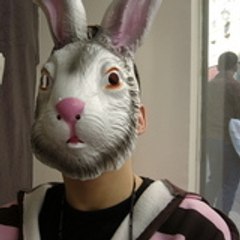 Lapin jumper