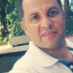 Amorim Divulgador Business