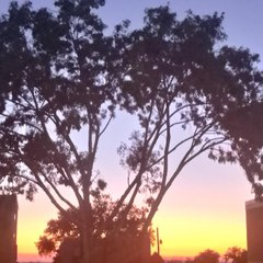 مسلسلات هندي و تركي مدبلج