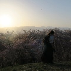 Radio-Fun-to-Listening