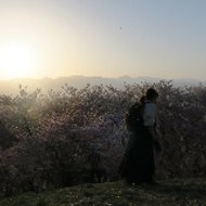 Radio-Fun-to-Listening