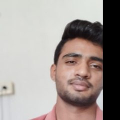 Vedant Lanjewar
