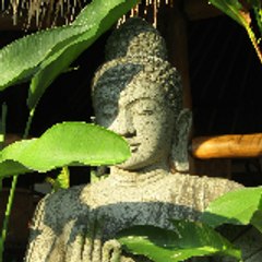 Meditation Sounds ☯