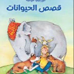 قصص و منوعات