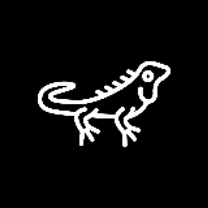 Dailymotion profile picture for @iguana