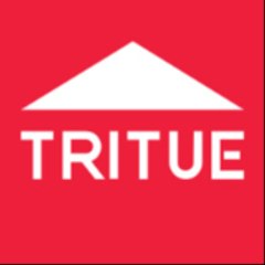 In dây đeo thẻTrí Tuệ