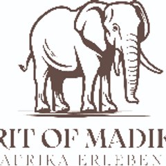 Spiritofmadikwe