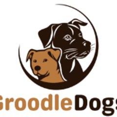 groodle454