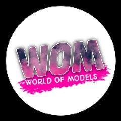 World of Models