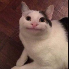 Kat