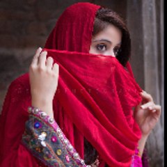 Malik brothrs