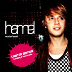 wouter hamel