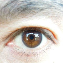 THeEYE