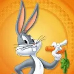 Kevin soares Looney tunes