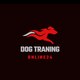 DogtraningOnline24