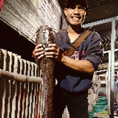 Tonono_Mancing