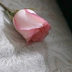Motivation stories videos/ Islamic inspiration