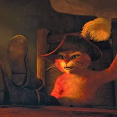 Fun cats 2024 animation