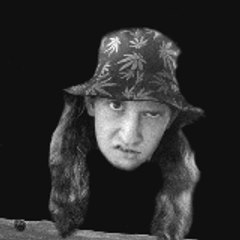 Aki Streeter Archive (Terrible)