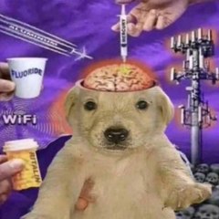 jpete mon necra j'écoute off