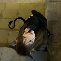 Melody
