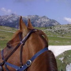 camillo