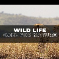 Call Ofnature