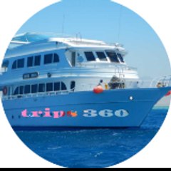 gotrips360