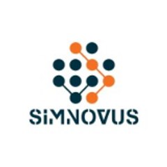 simnovus.seo