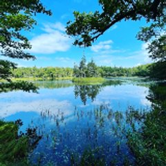 晴山佳須夫
