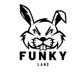 Funky Land