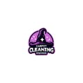 Carpet Cleaning Wizards