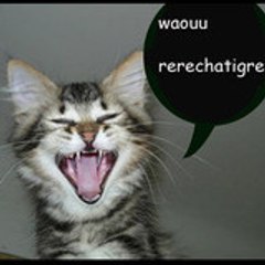 rerechatigre