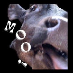 Movies for everyone