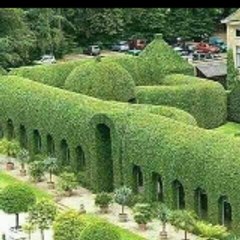 Entertainment & Recreation