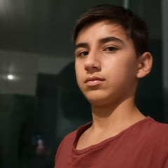 Felipe Silva Vendramini