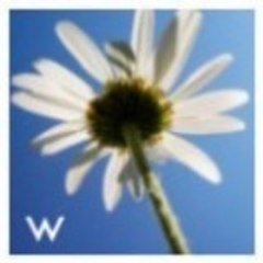 W