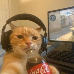 Meow edits