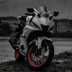 Automobile lover