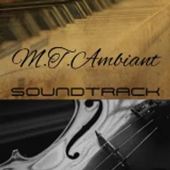M.T.Ambiant