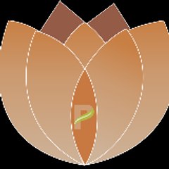 prashasresearchconsulting