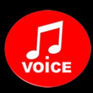 voicemusik
