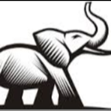 Sawa Sawa Safaris LTD