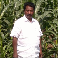 Deva Raju Puli