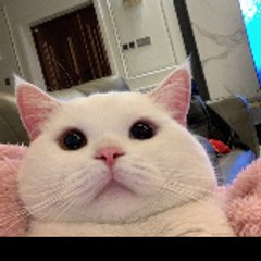 Hot Web Series Romantic Video