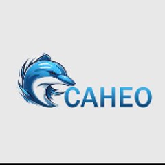 Caheovip com